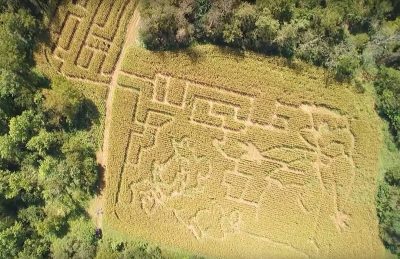 2016-jellystone-corn-maze-cave-city-kentucky-pr